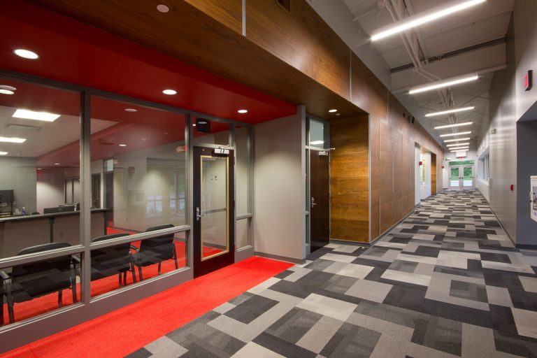 Hallway with monochrome carpet tiling and wood accent wall